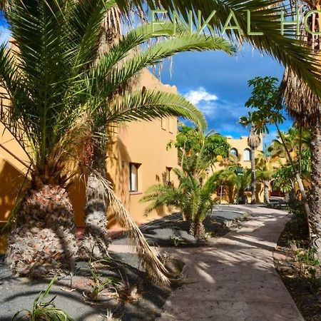 Corralejo Enkal House 4 persons - garden view Apartamento Exterior foto